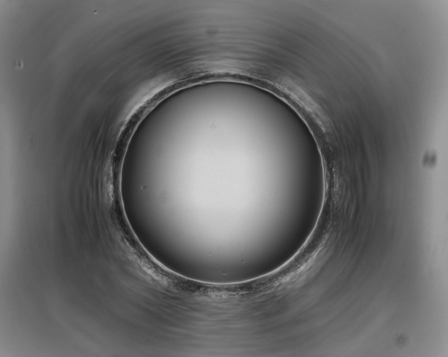 X0000097500782200802221443