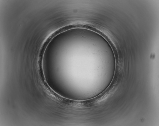 X0000097500783200802221443