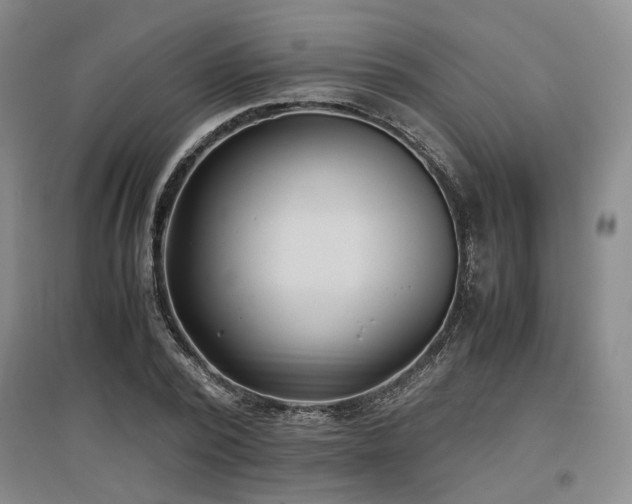 X0000097500784200802221443