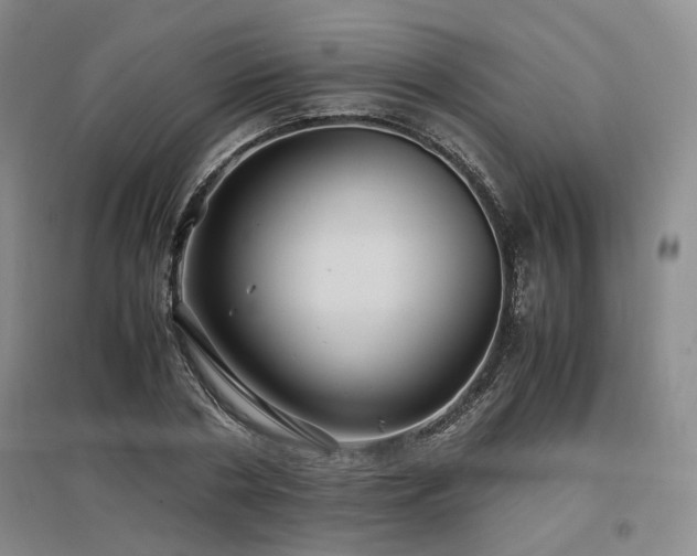 X0000097500786200802221443