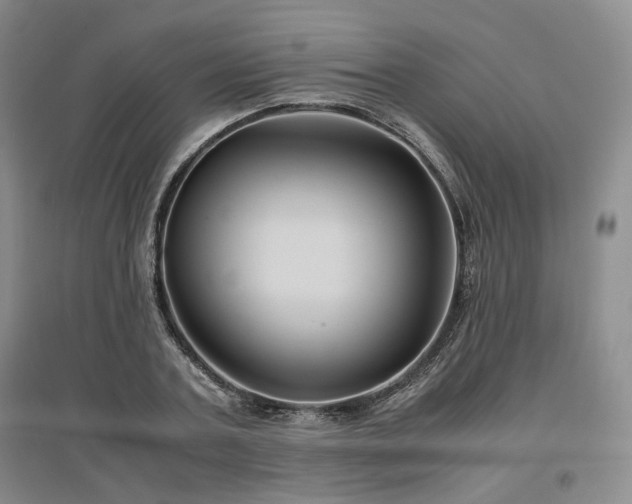 X0000097500787200802221443