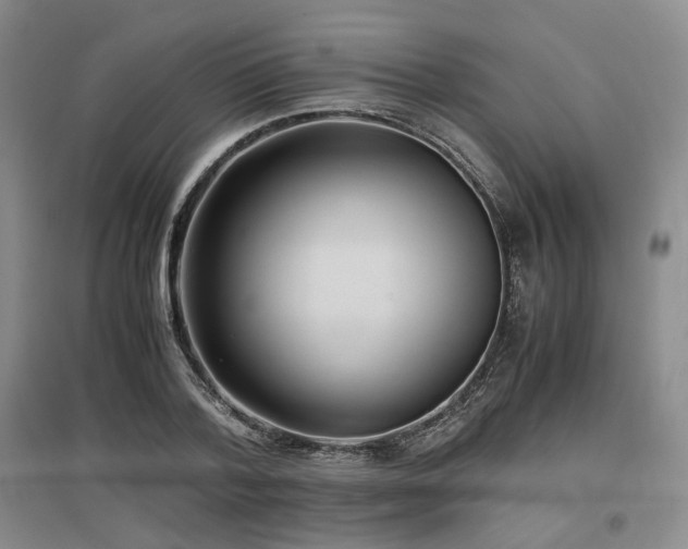 X0000097500788200802221443