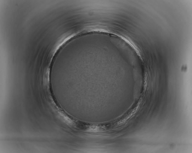 X0000097500790200802221443