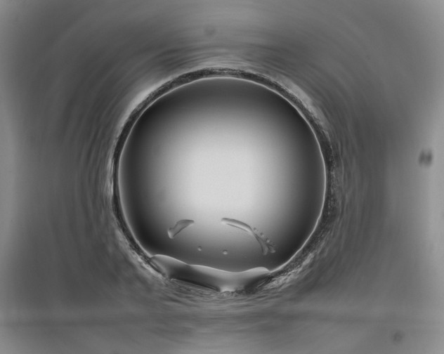X0000097500791200802221443