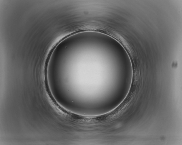 X0000097500795200802221443