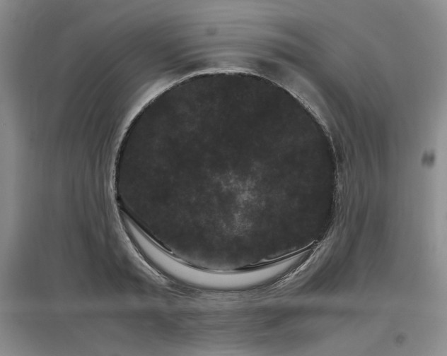 X0000097500797200802221443