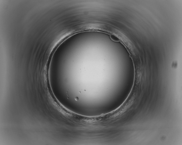 X0000097500798200802221443