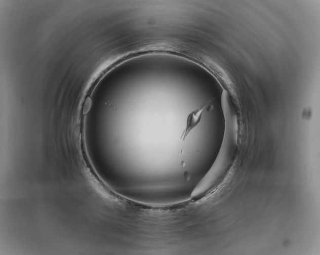 X0000097500800200802221443