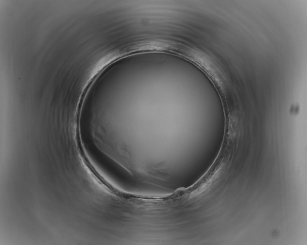 X0000097500802200802221443