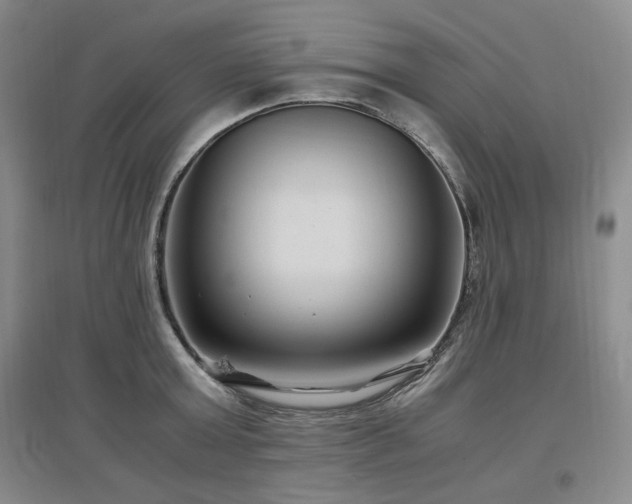 X0000097500803200802221443