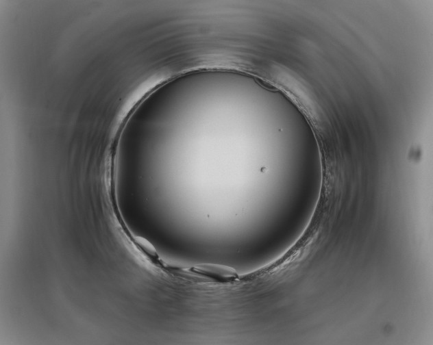 X0000097500804200802221443