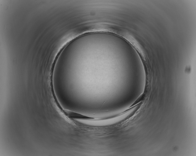 X0000097500805200802221443