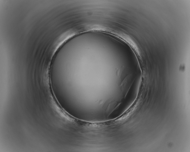 X0000097500806200802221443