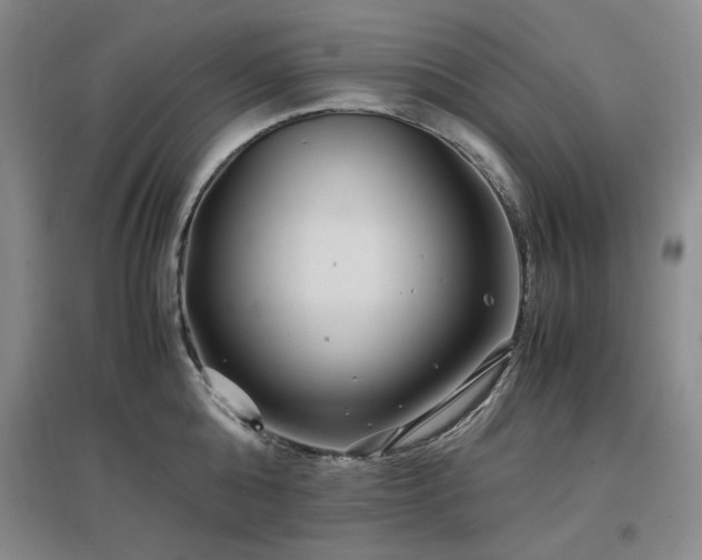X0000097500808200802221443