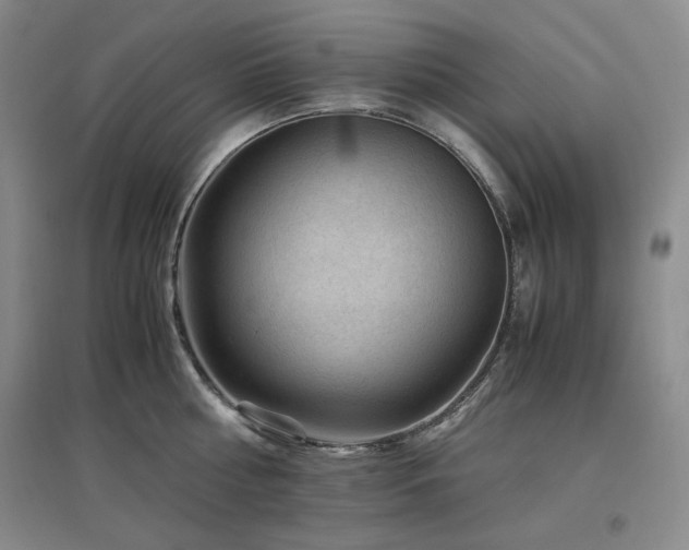 X0000097500810200802221443