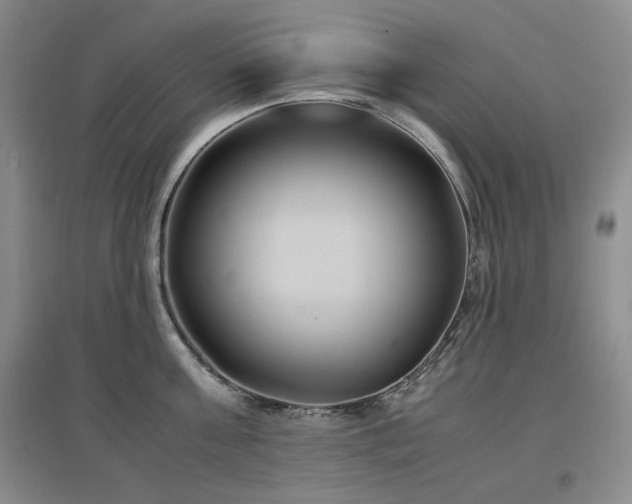 X0000097500811200802221443