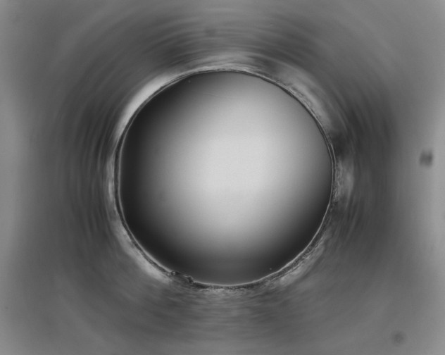 X0000097500812200802221443