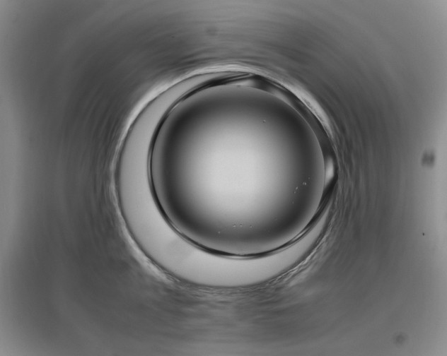 X0000097500813200802221443