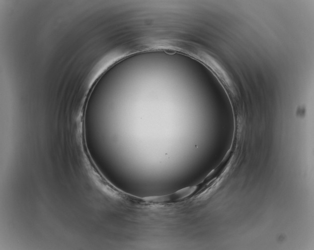 X0000097500814200802221443