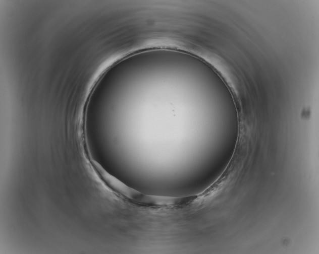 X0000097500815200802221443