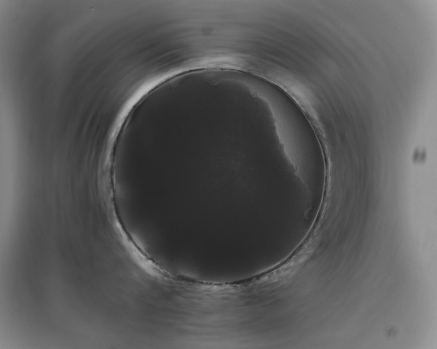 X0000097500816200802221443