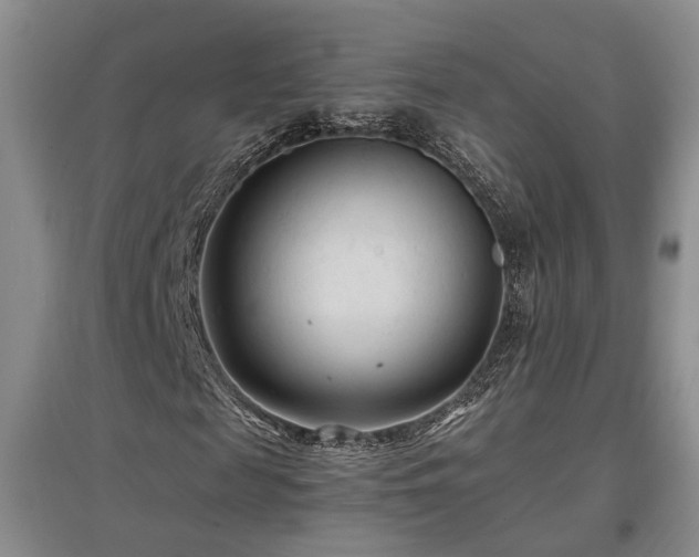 X0000097500817200802221442