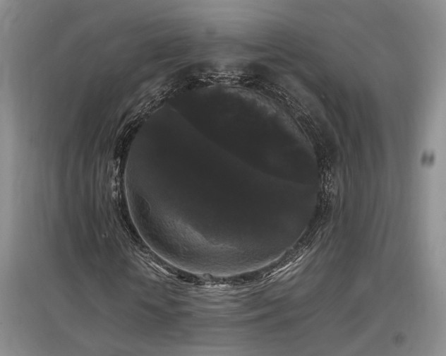 X0000097500818200802221442