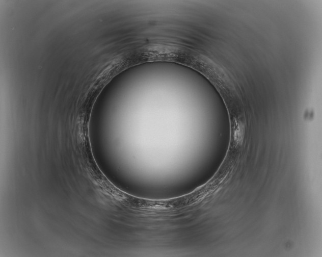 X0000097500819200802221442