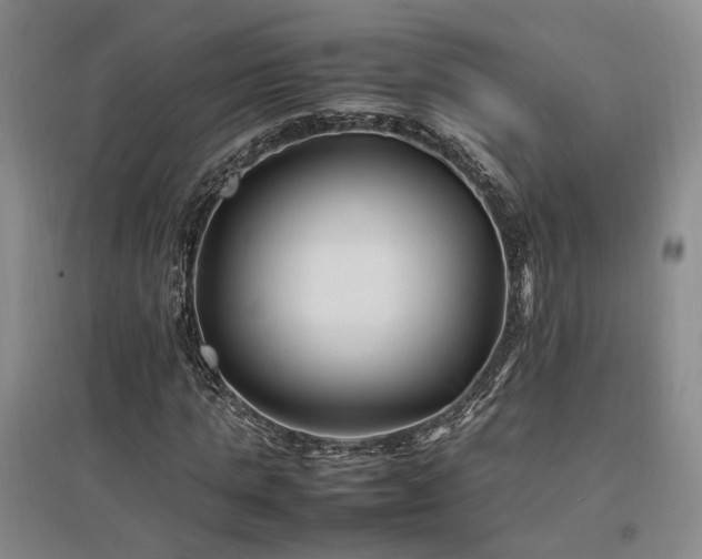 X0000097500821200802221442