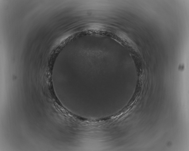 X0000097500822200802221442