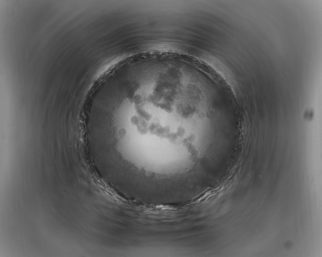 X0000097500823200802221442