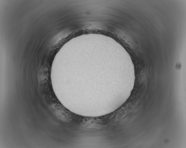 X0000097500824200802221442