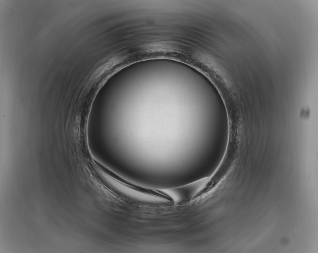 X0000097500825200802221442