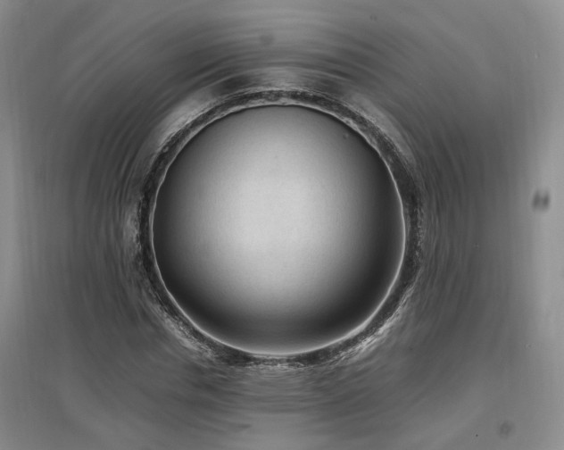 X0000097500826200802221442