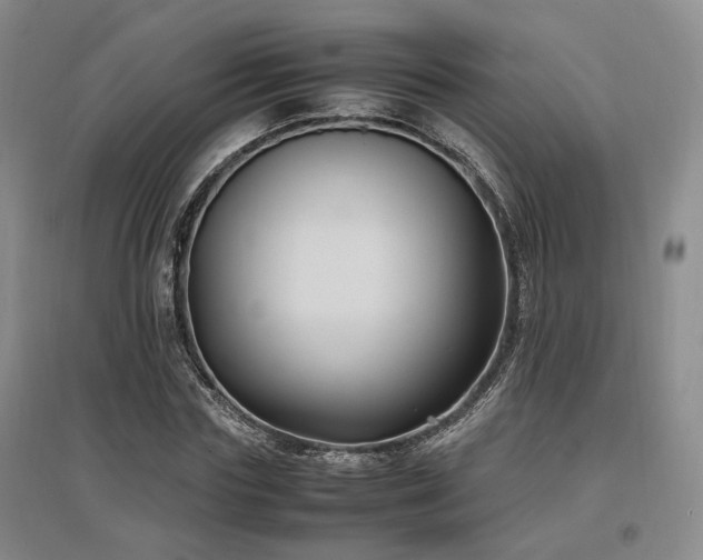 X0000097500827200802221442