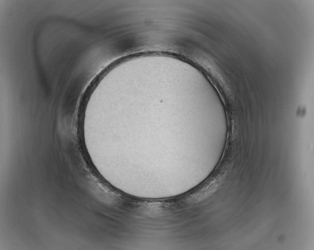 X0000097500828200802221442