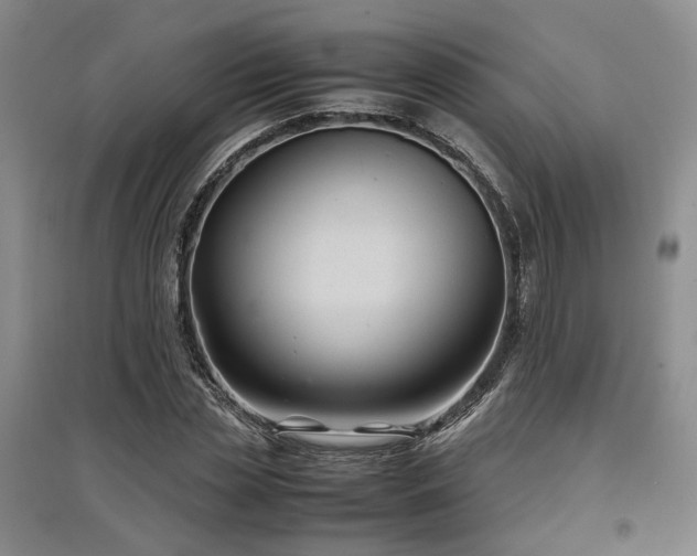 X0000097500829200802221442