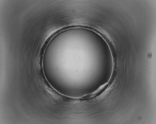 X0000097500830200802221442