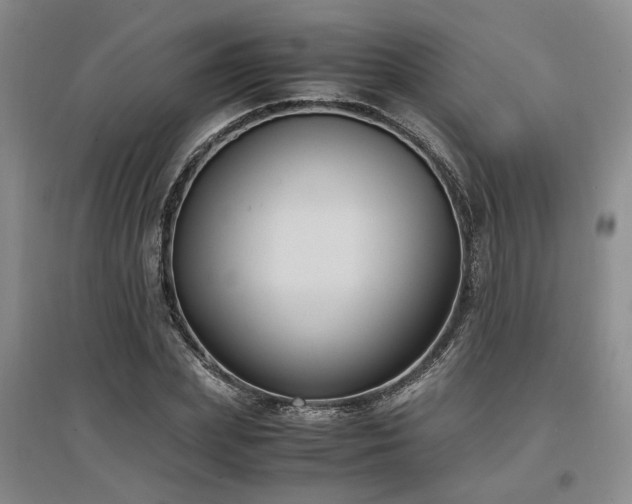 X0000097500831200802221442