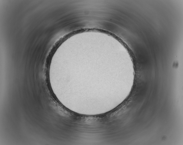 X0000097500832200802221442