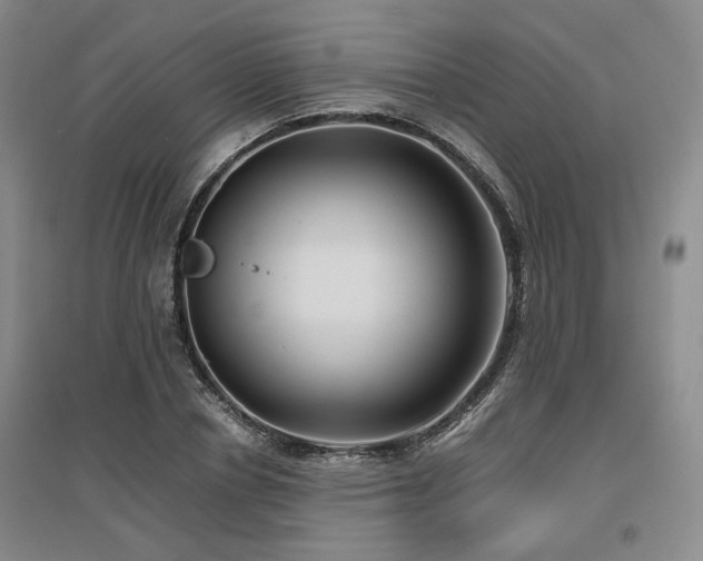 X0000097500834200802221443