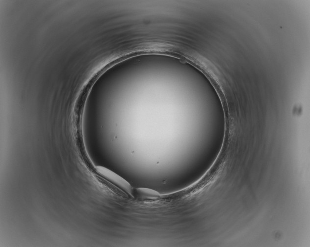 X0000097500835200802221443