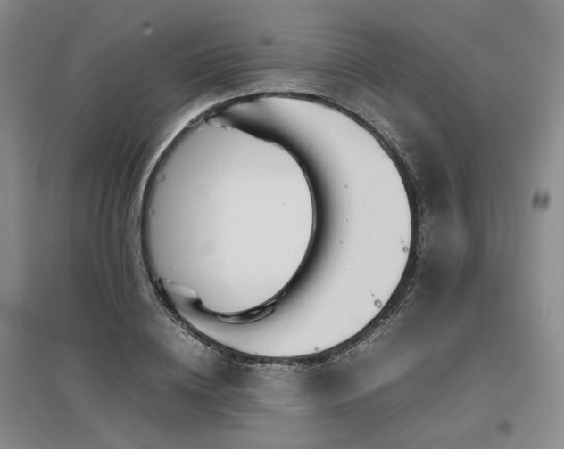 X0000097500836200802221443