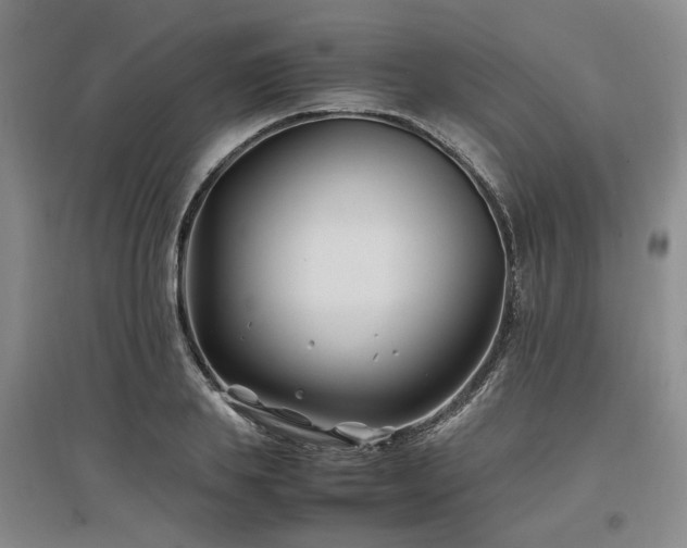 X0000097500839200802221443