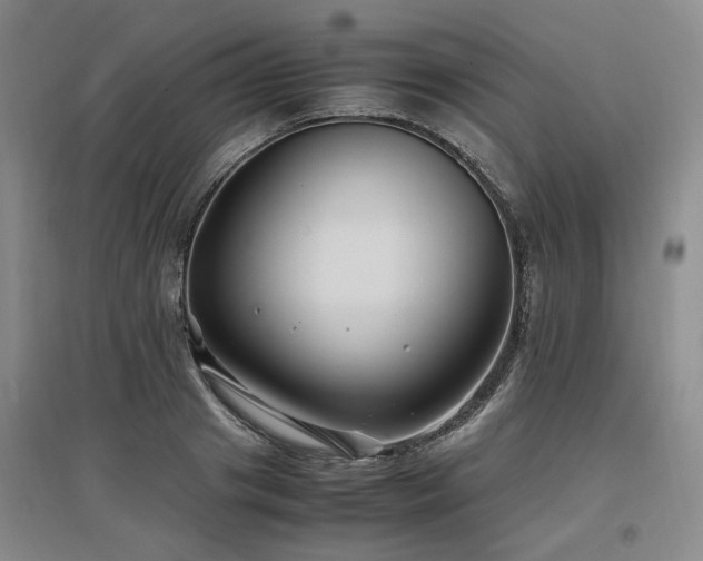 X0000097500841200802221443