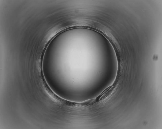 X0000097500842200802221443