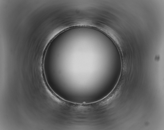 X0000097500847200802221443