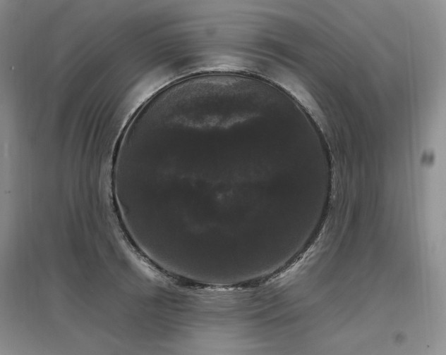 X0000097500850200802221443