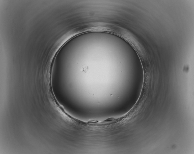 X0000097500852200802221443