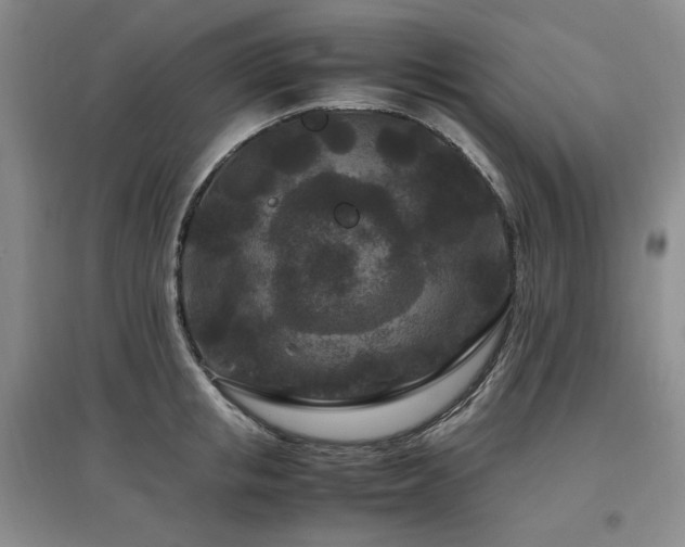 X0000097500853200802221443